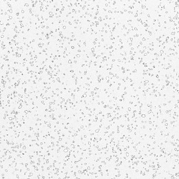 QD212 Dalmatian