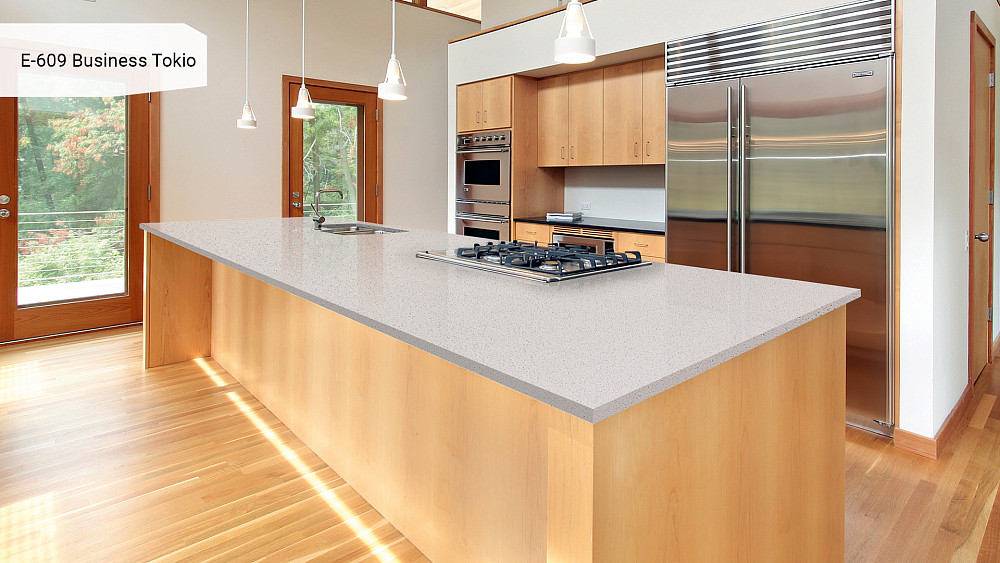 E609 Business Tokio