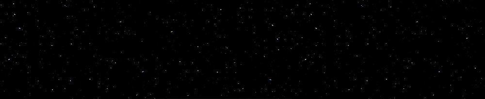 P004 Perna Black