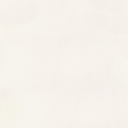 H1207 Arctic Breath
