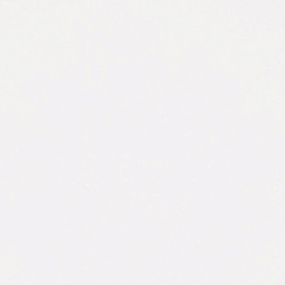 N510 Mettalic White