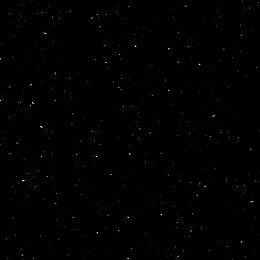 P004 Perna Black