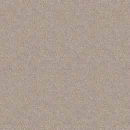 S206 Wet Sand