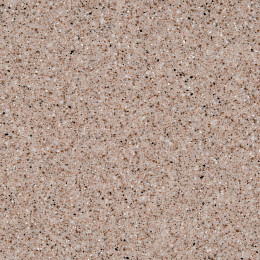 D303 Raisined Chocolate