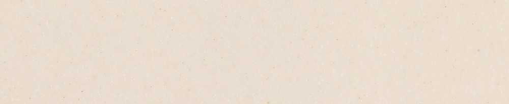 AS642 Seashell