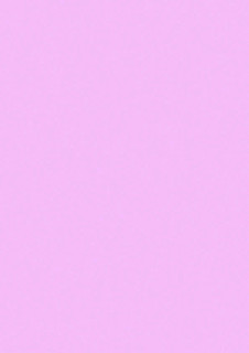 S233 Pink Leia